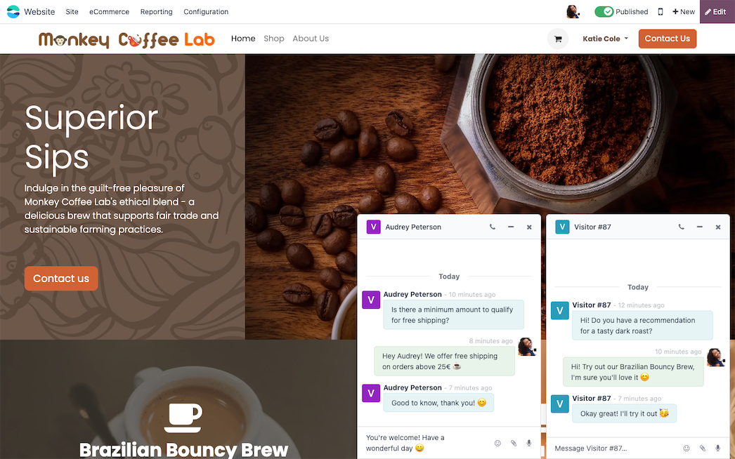 Live chat window on a website built with Odoo