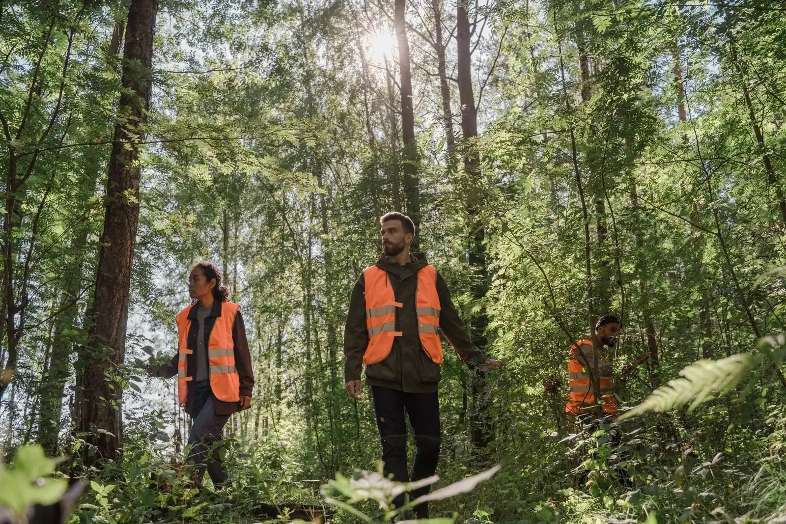 Tres trabajadores con chalecos de seguridad en un estudio ambiental en un bosque
